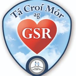 Gaelscoil Shliabh Rua logo