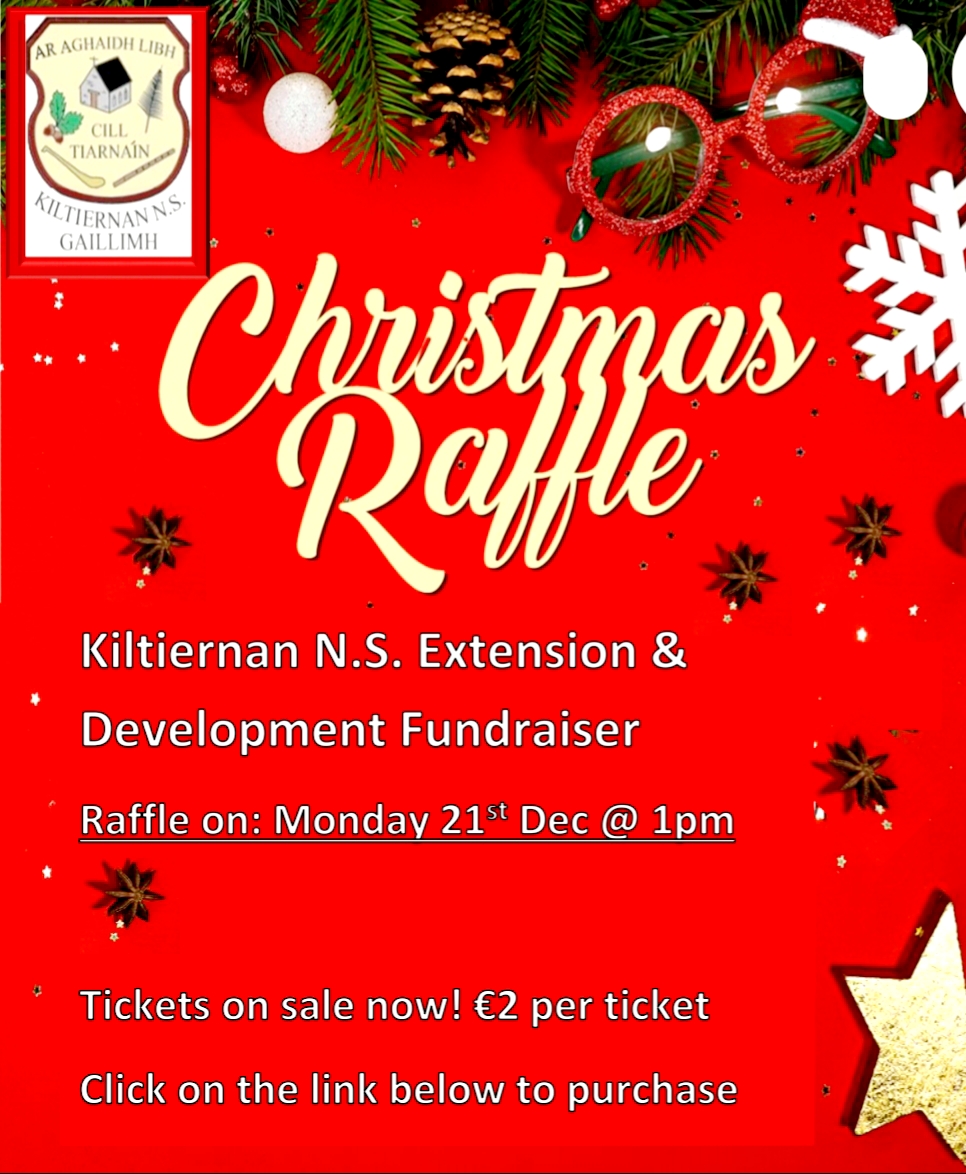 Kiltiernan N.S. Extension & Development Fundraiser ...